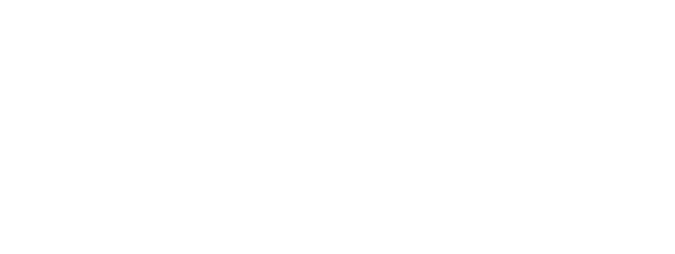 Logo UiS