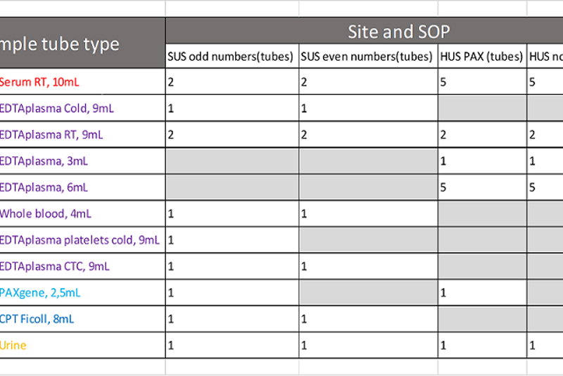 site and SOP.png